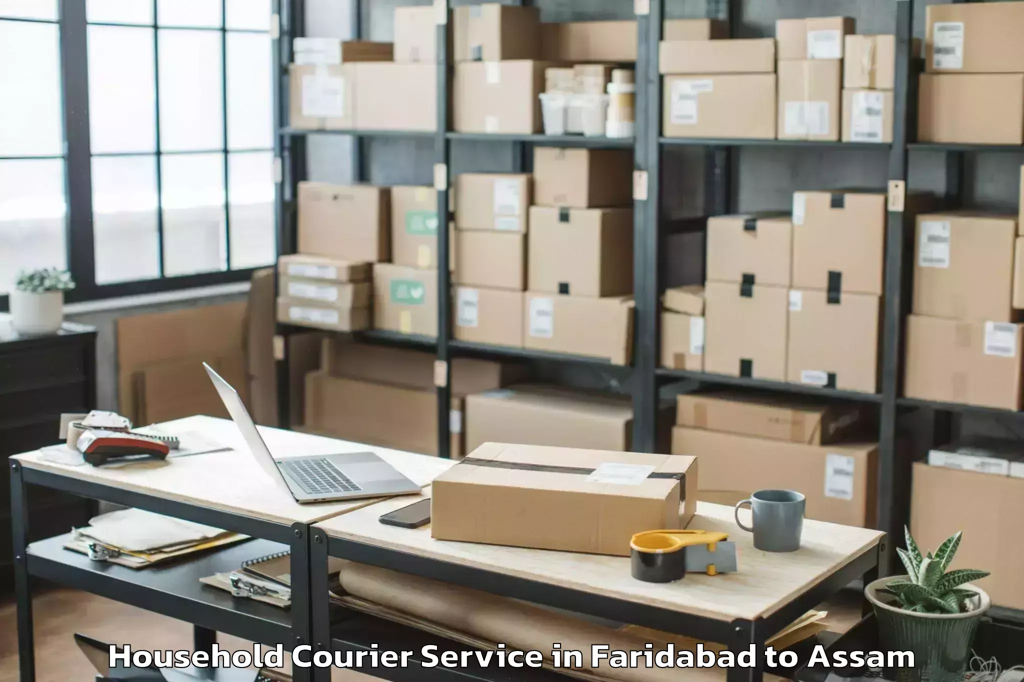 Book Your Faridabad to Naharkatia Household Courier Today